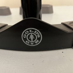 Gold Gym Push Up Bars