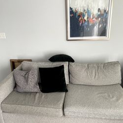 Modern Living Room Couch-Gently Used