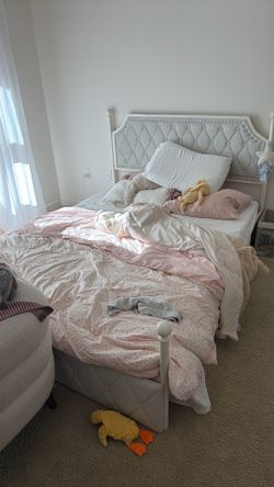 Convertible Canopy Storage Bed