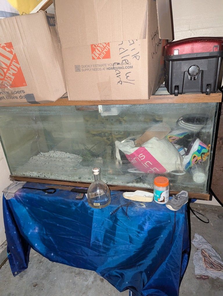 70 gallon fish tank 