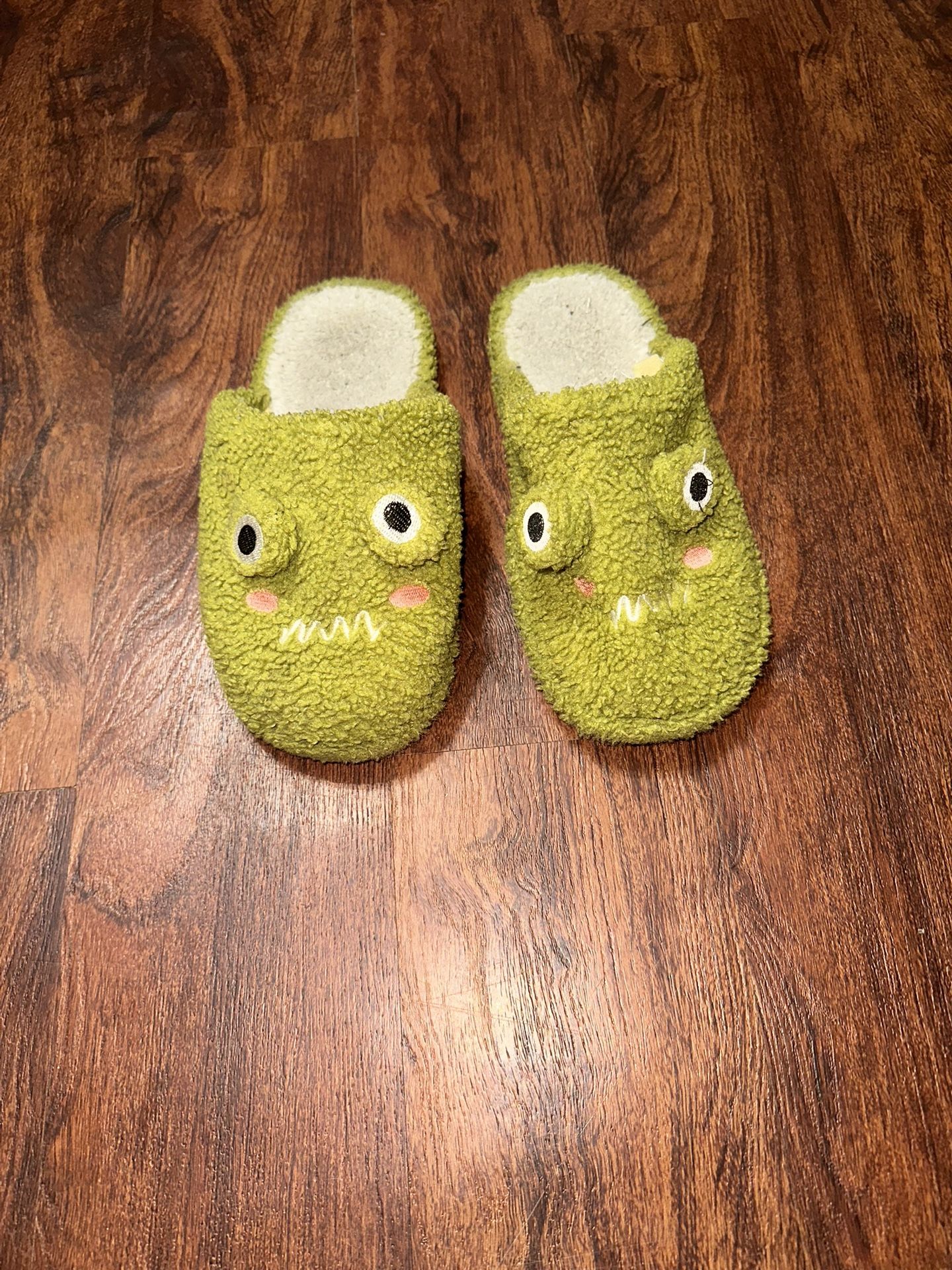 Frog Slippers