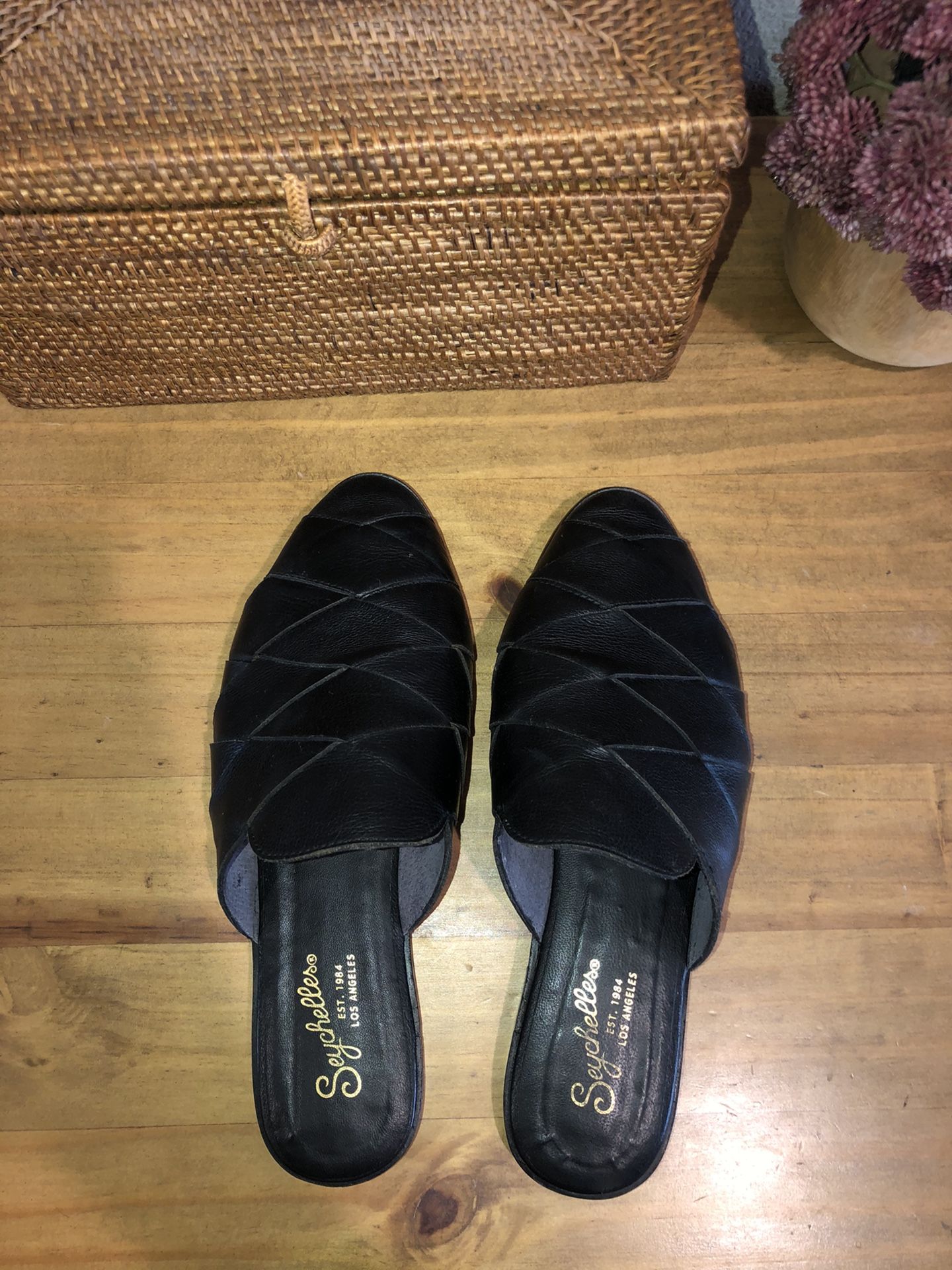 Seychelles survival mules