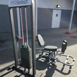 Home Gym Inner / Outer ProSelect Leg Exercise Machine