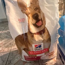 Dog food
