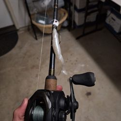Shimano Caius