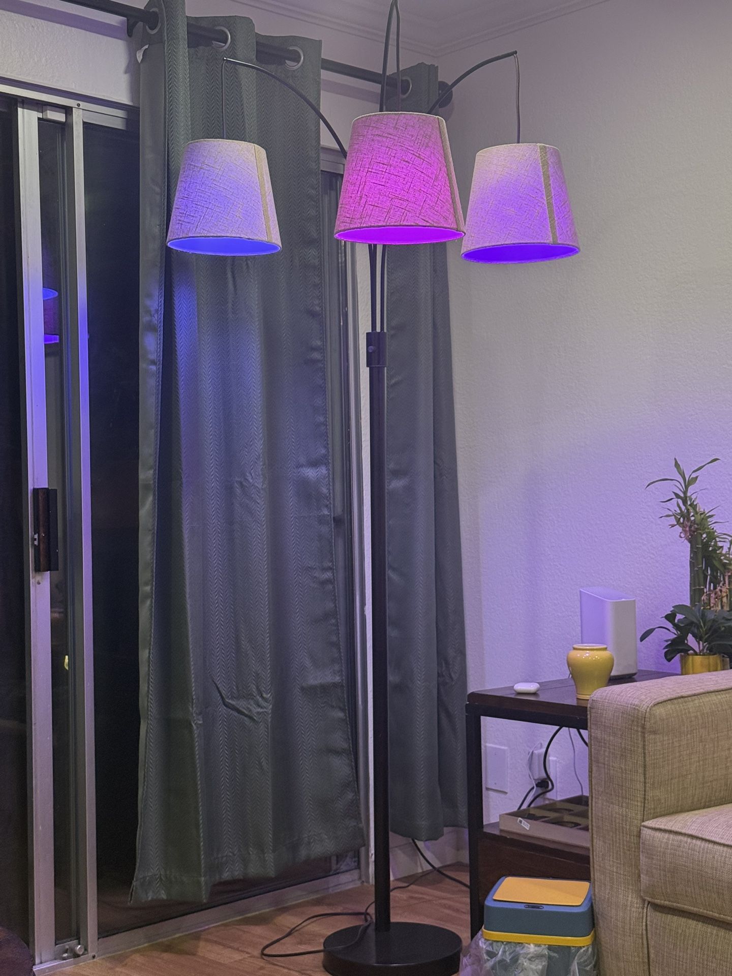 Floor Lamp With Smart Lights