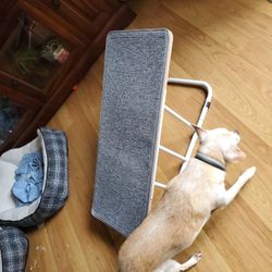 Dog Ramp Small Or Medium 