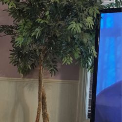 Artificial Tree - 2 Available