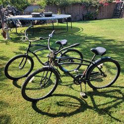Beach Cruisers 