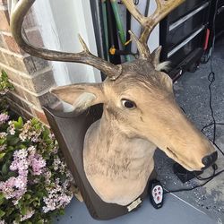 Talking deer with  electric  end  remote control