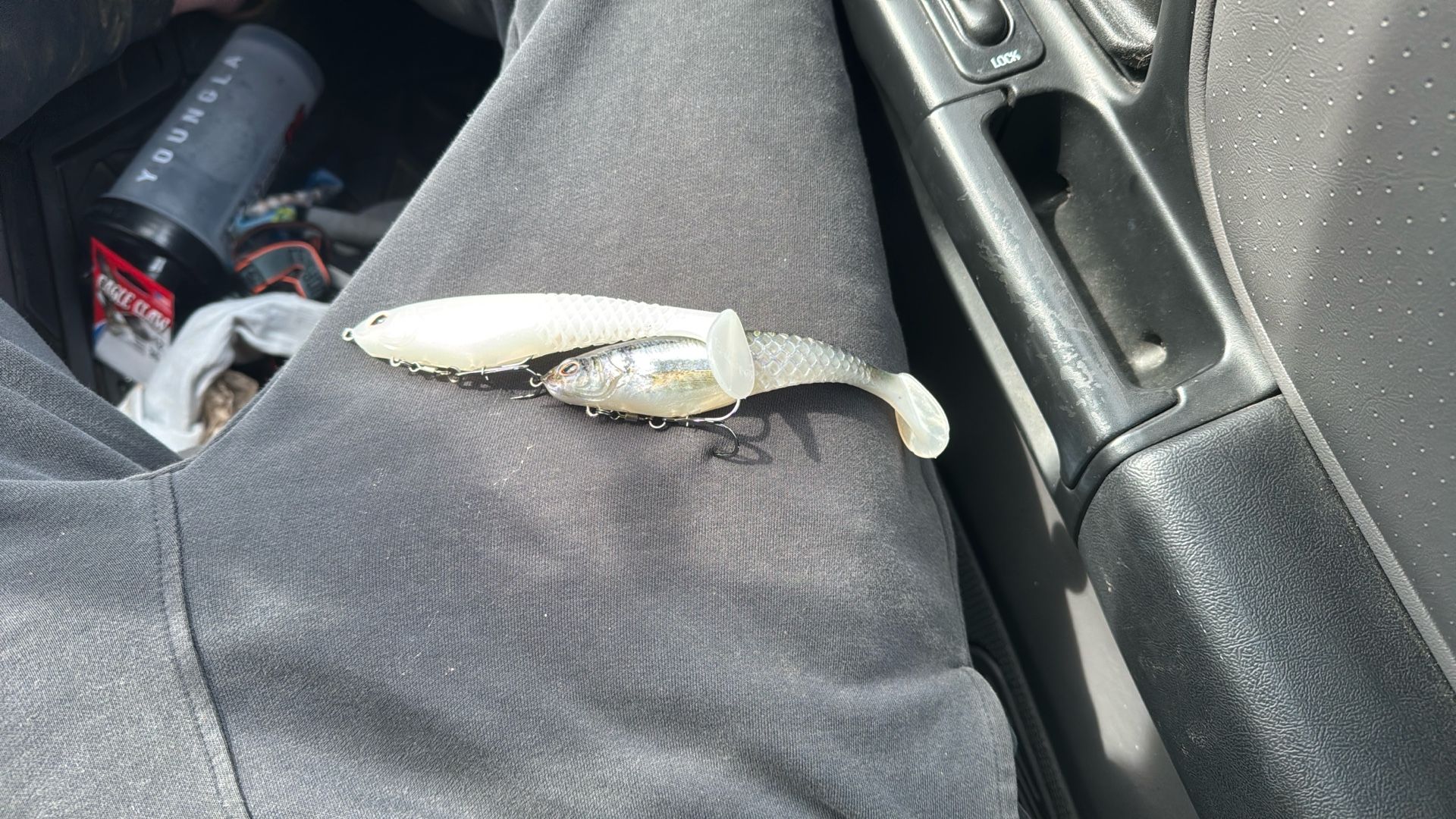 berkeley gill shad swim bait