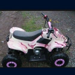 110cc Kids  Quad 