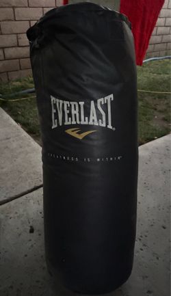 Everlast punching bag