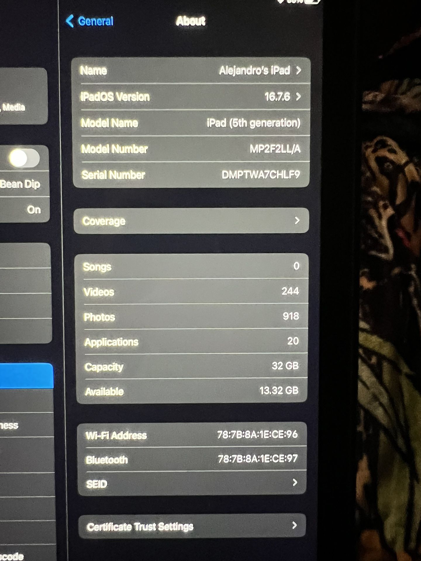 iPad (5th Generation)