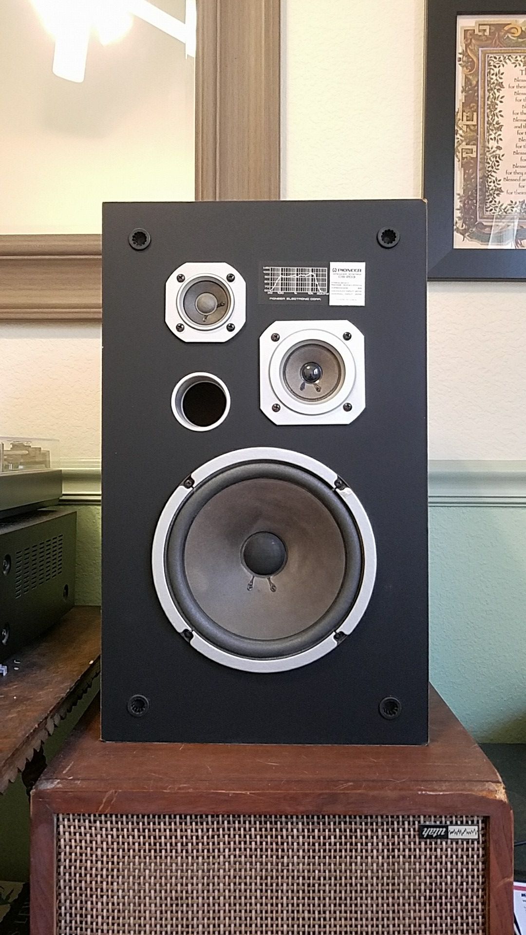 Pioneer cs sale 203