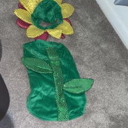 Medium Sunflower Outfit For Doggy 