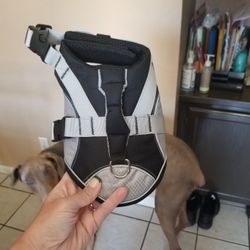 XS Dog Life Jacket