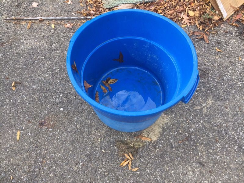 Water bucket