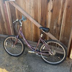 Purple Liv Bike