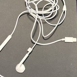Apple Earbuds