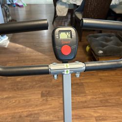 Sunny Upright Row-Ride Exerciser