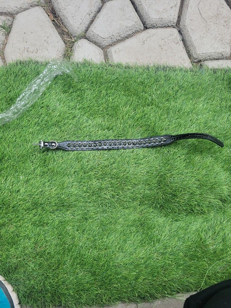 Dog Collar