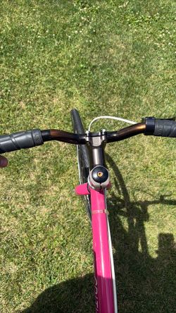 Critical fixie