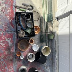 miscellaneous plant stuff