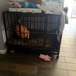 Dog Crate