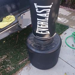 Everlast Punching Bag Power Core Price Is Not Firm