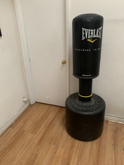 Everlast Punching Bag