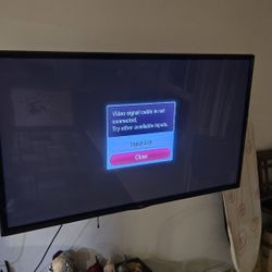 60 Inch LG TV With Wallmount