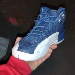 Jordan 12s Indigos