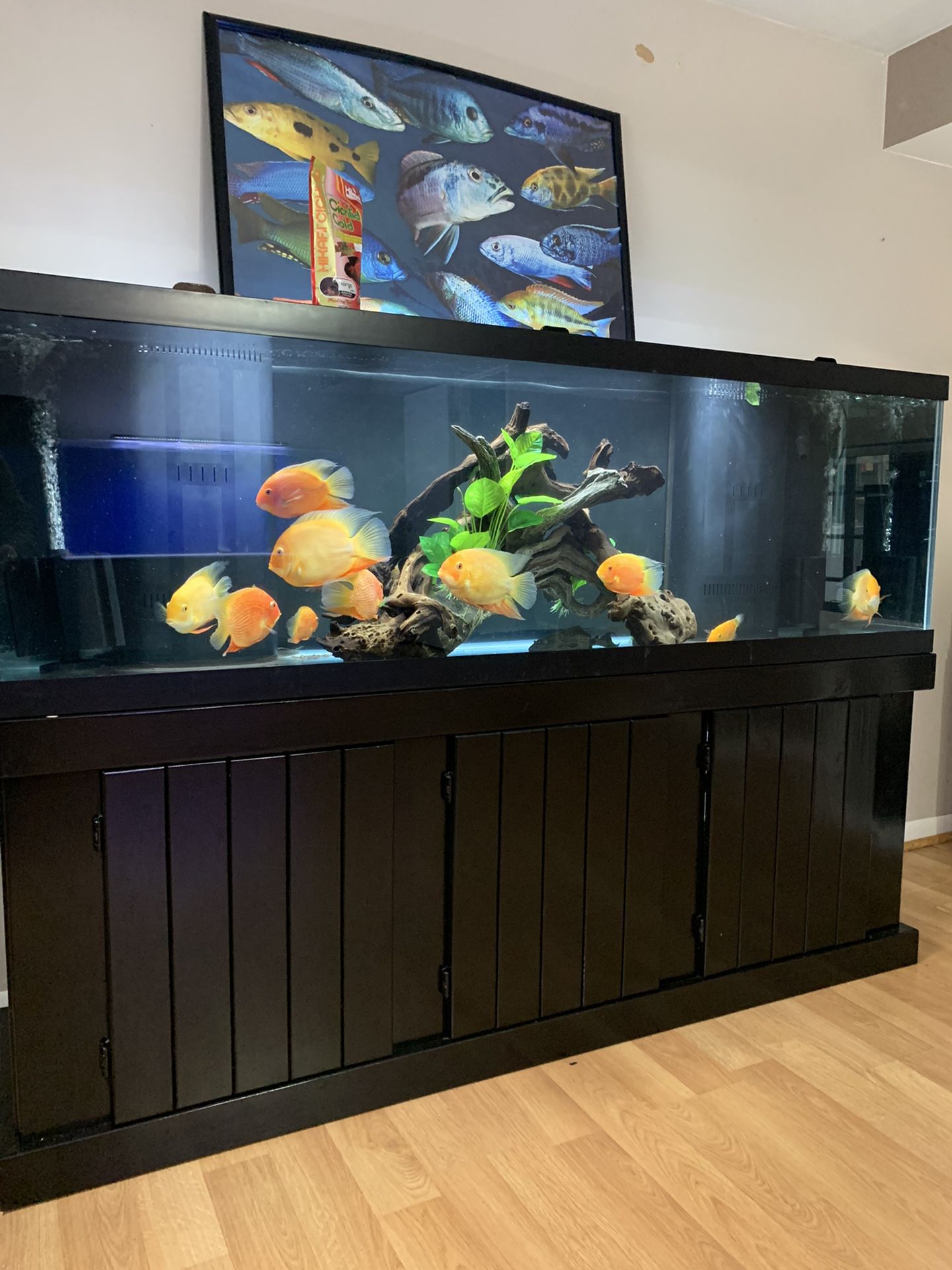 125 gallon Fish Tank And  Stands Lids Heat 55 Gallon Overflow 