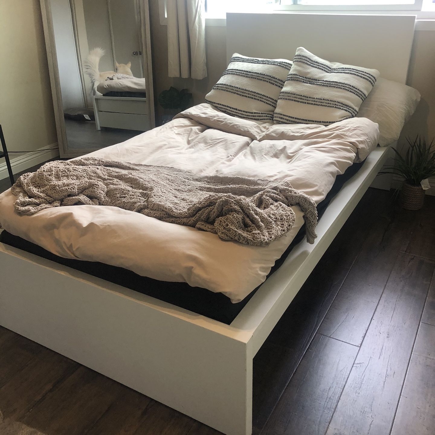 IKEA MALm Bed Frame + Wooden LUROY + Storage Boxes