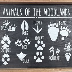Animal Print Wall Decor Toddler Baby Room