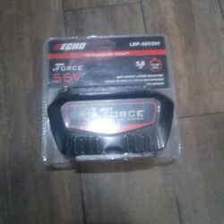 Echo Eforce 56v. 5.OAh. Battery System.