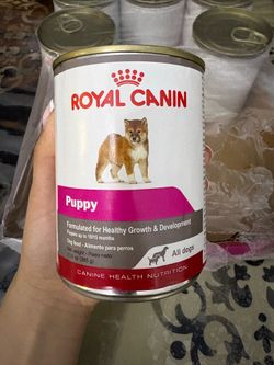 Royal canin puppy wet food