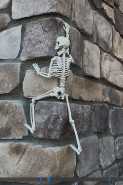 Lot Plastic Skeletons Decor Halloween Decoration Large Small Dog Skeleton Assorted