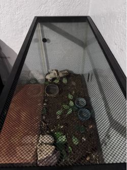 Pet Tank