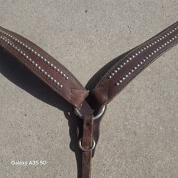 Horse Tack