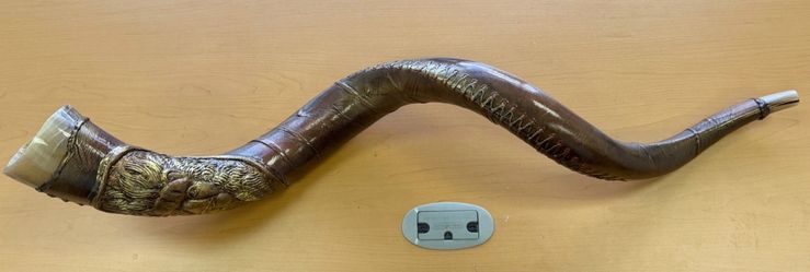 Yemenite Shofar