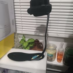 Prosthetic Leg