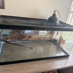 40 Gallon reptile tank with lamp
