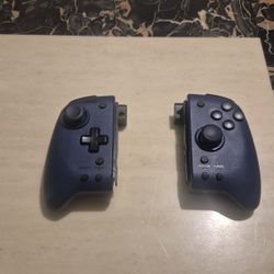 Nintendo Switch Hori Controller 