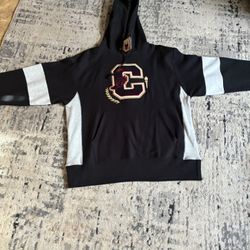 Champion hoodie