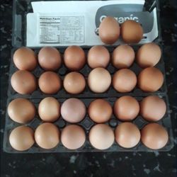 Brown Eggs. 