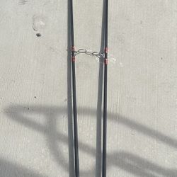 2 berkley lightning rods  