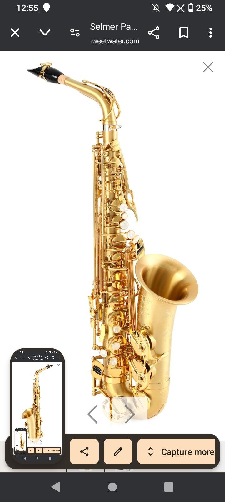 Saxophone Supreme Professional