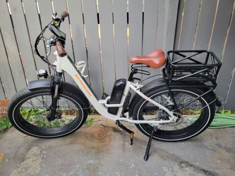 RadPower E-Bike